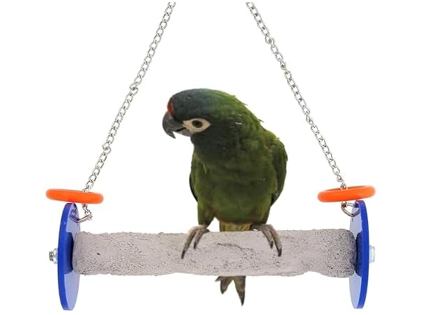 Sweet Feet and Beak Roll Bird Swing