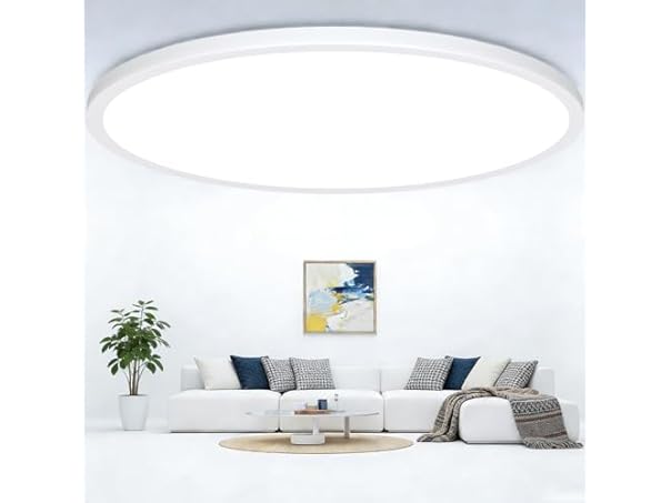 20 Inch Large LED Flush Mount Ceiling Lights, 35W
