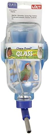 LIXIT Chew Proof Glass Water Bottle 16oz