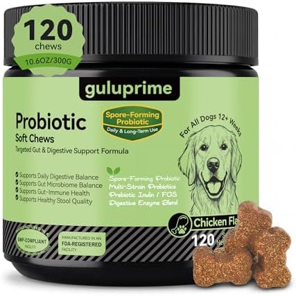 Probiotics for Dogs