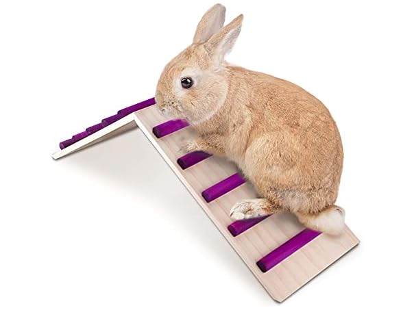 KREVEROY Wood Bridge for Small Animal Cage