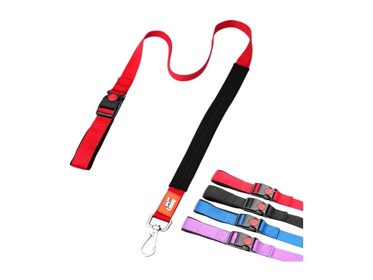 Canny Connect Leash - Anti Pull Dog Leash, Red