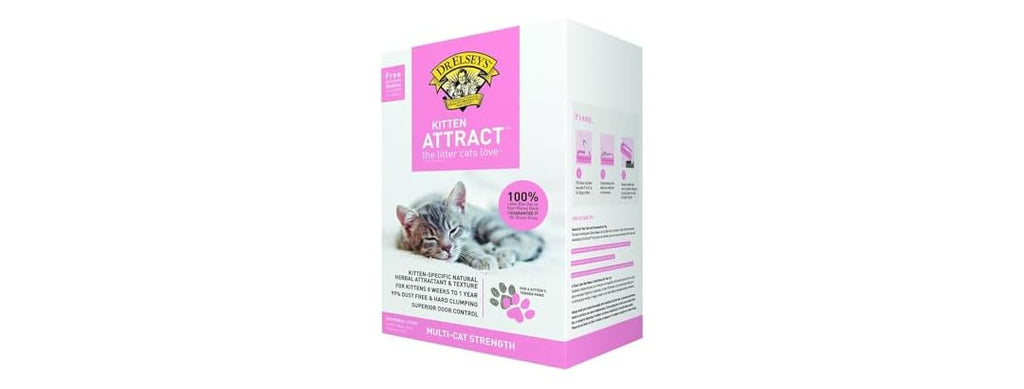 Precious Cat Kitten Attract Kitten Training L