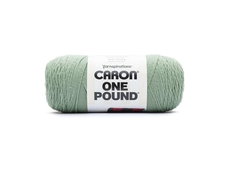 Spinrite Caron One Pound Yarn-Succulent