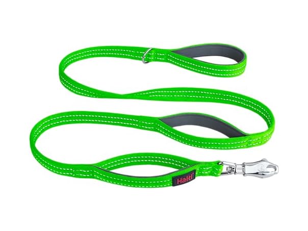 Halti BRIG Safety Dog Leash - Color-Coded Dog Leash