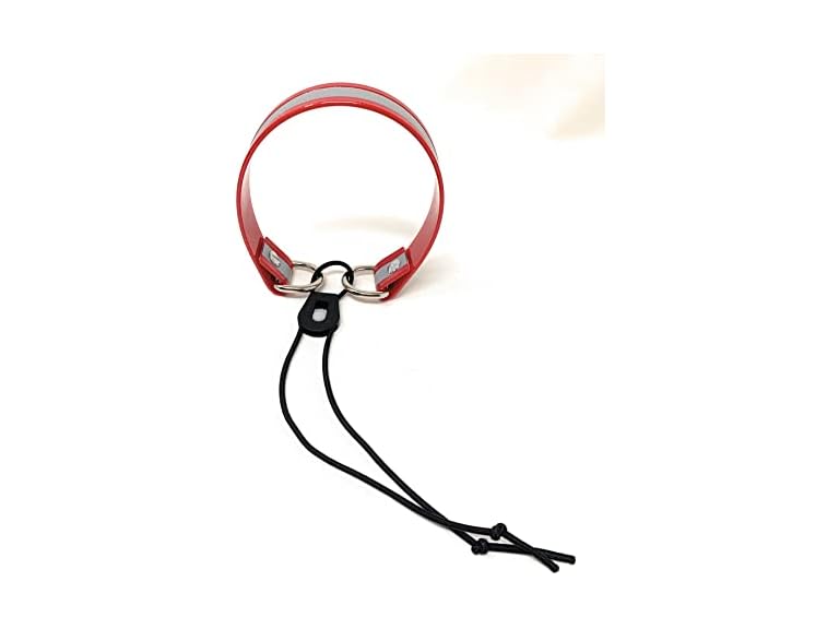 Sparky Pet Co Sparky Pet Co Surefit 1 Inch Bungee Dog