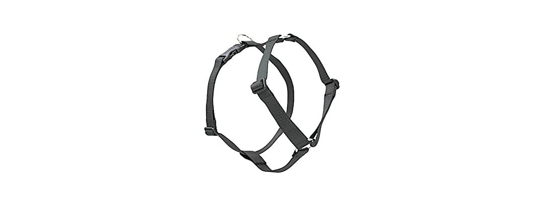 LupinePet Basics 1/2" Black 9-14" Adjustable Harnass