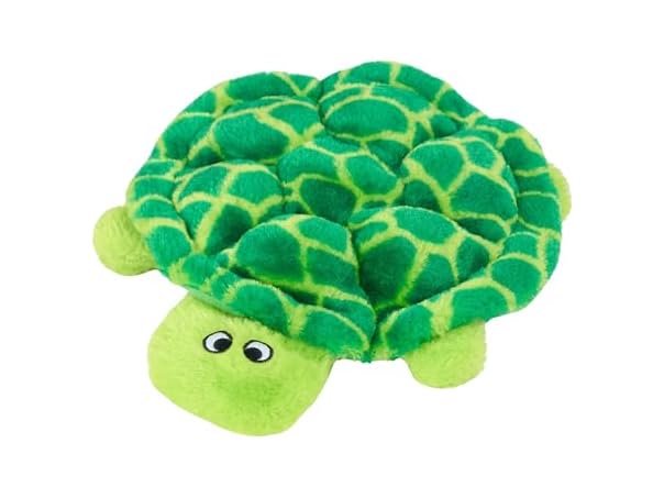 Crawler Turtle 10in