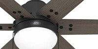 Hunter Fan 44" Ceiling Fan w/ Lights, Black