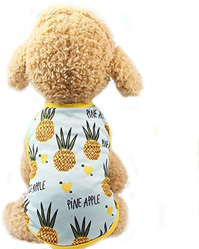 Pet Clothes,Lovely Summer Fruit Dog T-Shirt P