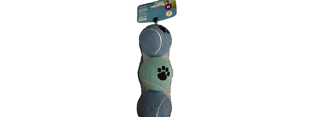 Vibrant Life Fetch Buddy Dog Toys, Medium Siz