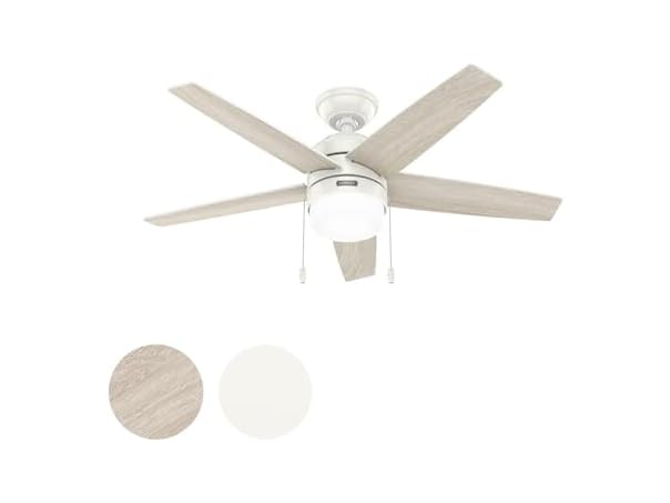 Hunter Fan 44" White Indoor Ceiling Fan