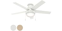 Hunter Fan 46" Contemporary w/ Light