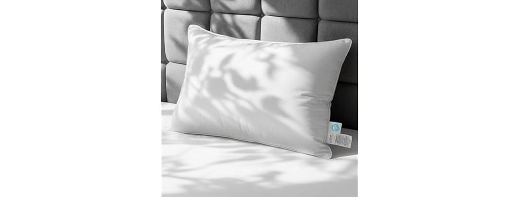 White Goose Down Pillow, Feather And