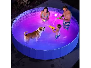 Pawtners Foldable Kiddie Pool with Light