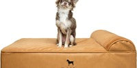 NOAH & PAW Orthopedic Dog Beds- Medium