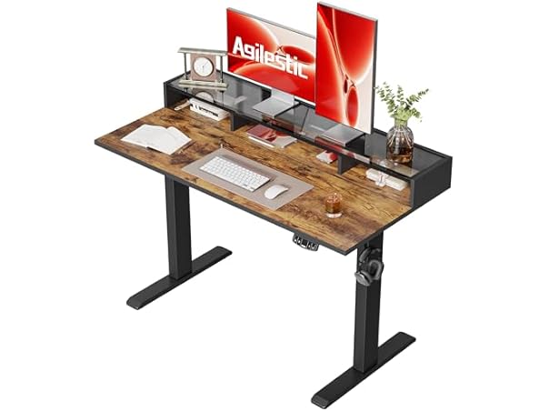 48 X 24 Inches Electric Standing Desk