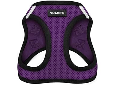 Best Pet Supplies - All Weather Mesh/Plush, Reflective Med