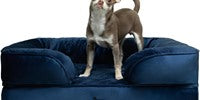 NOAH & PAW Dog/Cat Sofa- Medium