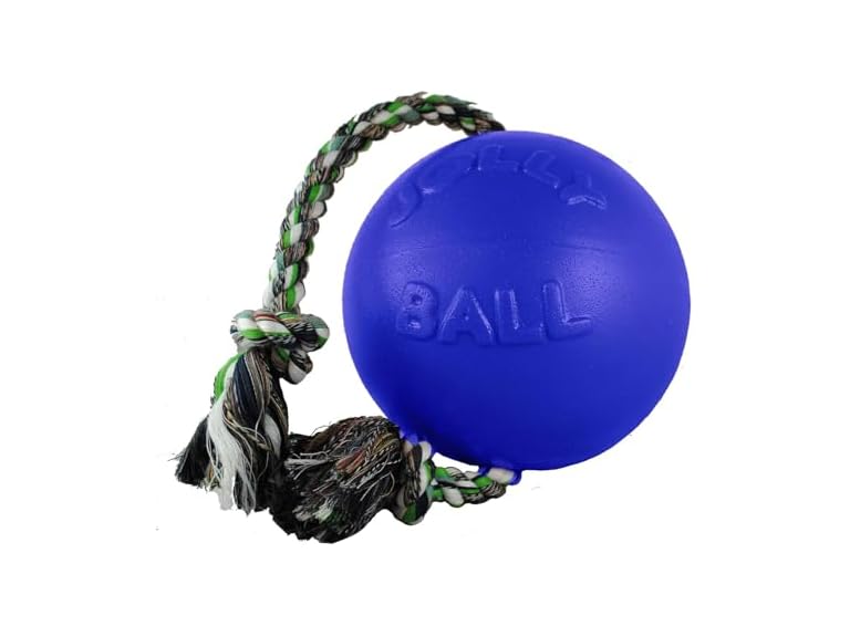 Jolly Pets Romp-N-Roll Ball Color: Blue, Size