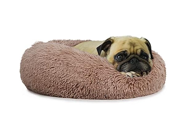 Small Deep Sleep Calming Bed for Dogs with An