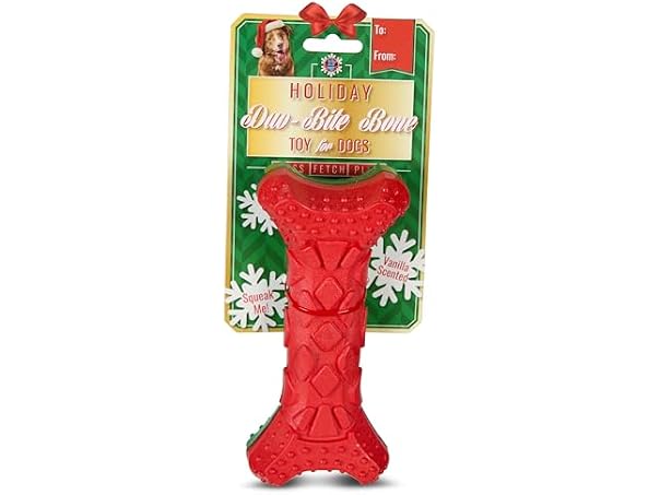 Bow Wow Pet Christmas Bone Dog Chew Toy