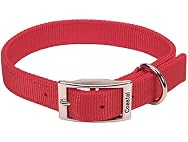 Coastal Pet - Double-Ply Dog Collar, Red, 1" x 24"