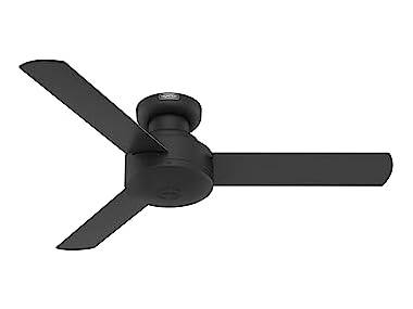 Hunter Fan 44" Ceiling Fan, Matte Black