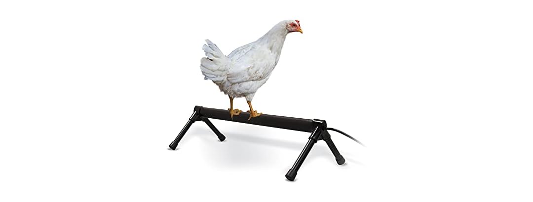 K&H Pet Products Thermo Heated Chicken