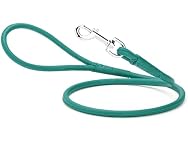Dogline Rolled Leather Dog Leash - for Small
