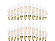 24PK GoBright 4W Candelabra Light Bulbs Daylight White