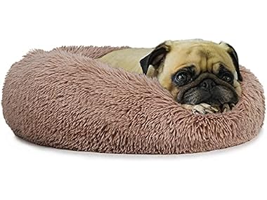 Small Deep Sleep Calming Bed for Dogs with An