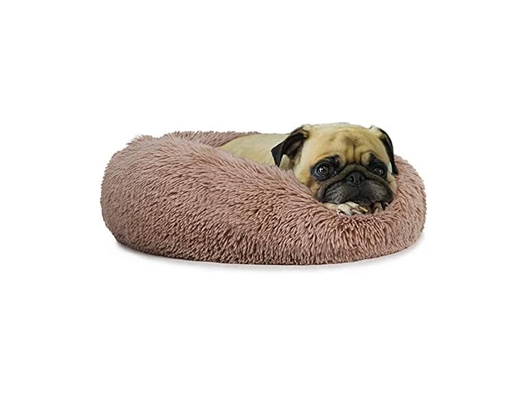 Small Deep Sleep Calming Bed for Dogs with An