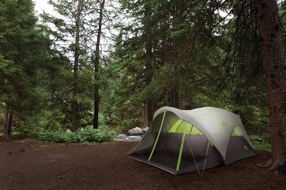 6-Person Steel Creek™ Fast Pitch™ Dome Camping Tent with Screen Room, Green