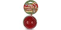 Bow Wow Pet Vanilla Scented Dental Ball Dog Chew Toy