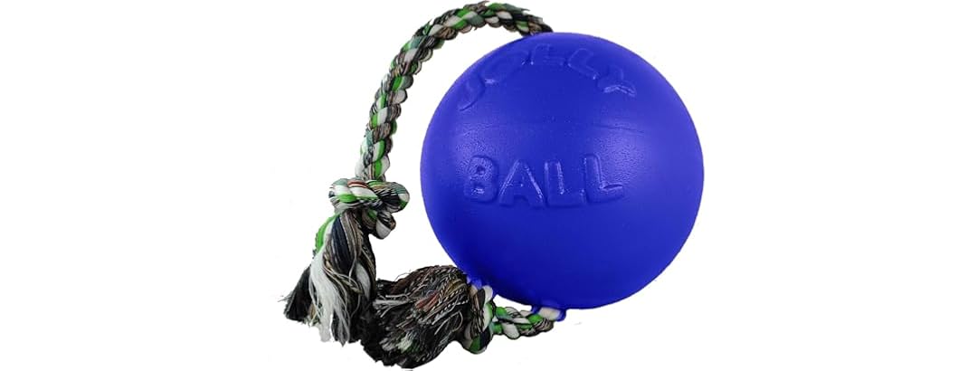 Jolly Pets Romp-N-Roll Ball Color: Blue, Size