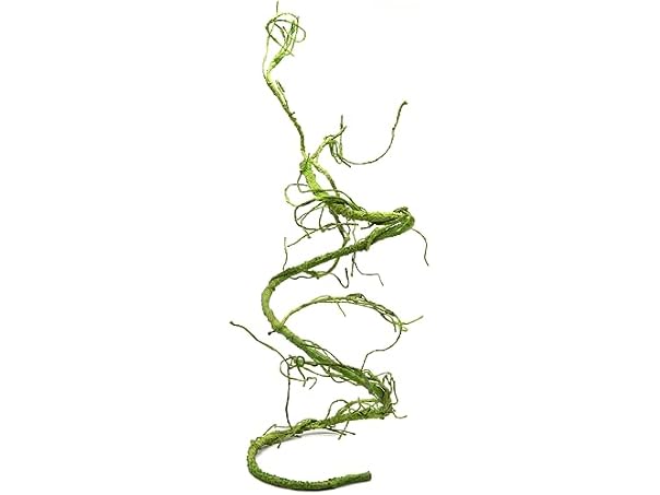 Pangea Reptile Ultimate Vine for Terrarium Ha