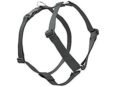 LupinePet Basics 1/2" Black 9-14" Adjustable Harnass
