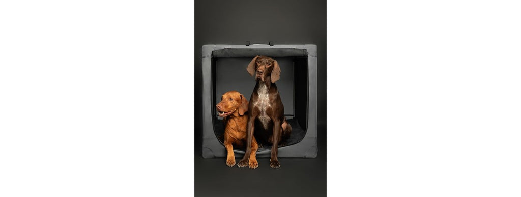 NOAH & PAW Collapsible Dog Crate- XX Large