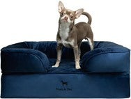 NOAH & PAW Dog/Cat Sofa- Medium