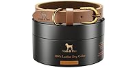 NOAH & PAW Genuine Leather Dog Collar
