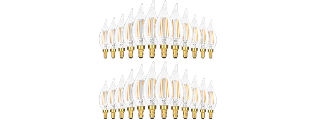 24PK GoBright 4W Candelabra Light Bulbs Daylight White