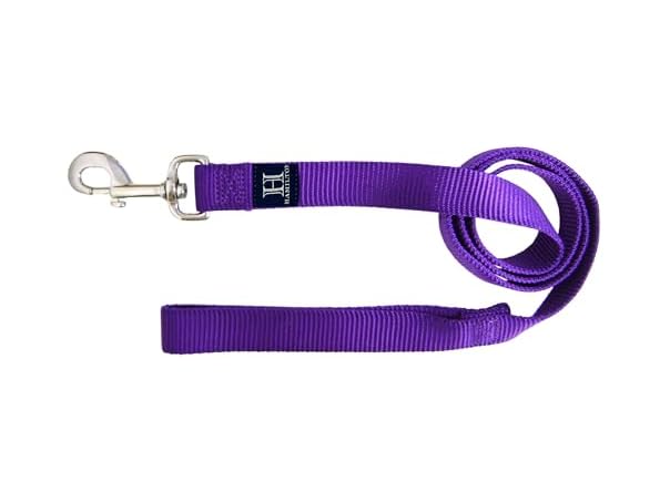 Hamilton Single Thick Deluxe Nylon Dog Leash w Swivel Snap