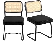 Rattan Dining Chairs Set of 2, Mid Century