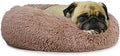 Small Deep Sleep Calming Bed for Dogs with An