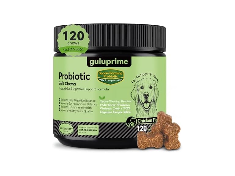 Probiotics for Dogs