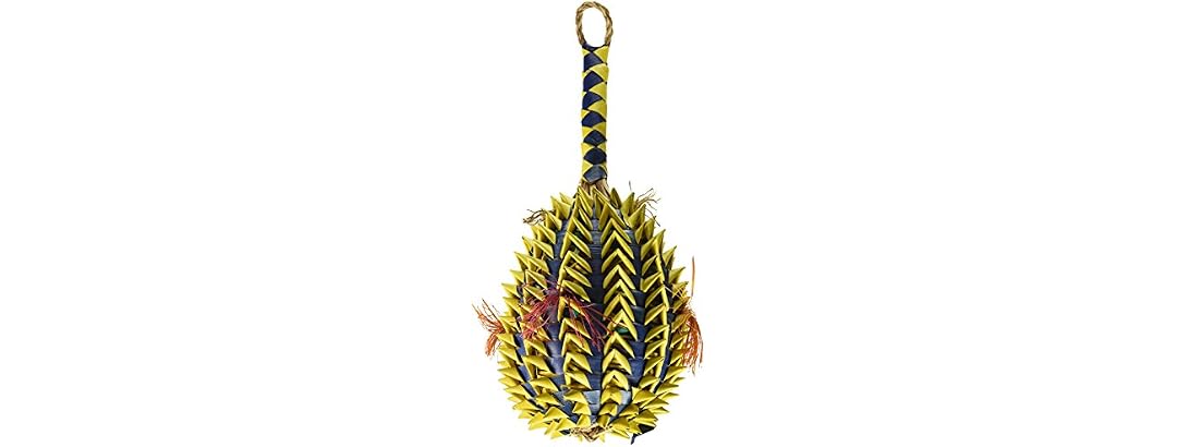 Planet Pleasures Pineapple Foraging Toy, X-La