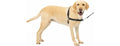 Petsafe Easy Walk No Pull Harness Black Large