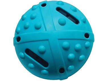 Champion Companion TPR Squeaky Bouncing Ball