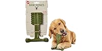 SPOT Bam-Bones Plus Toothbrush Dog Chew Toy